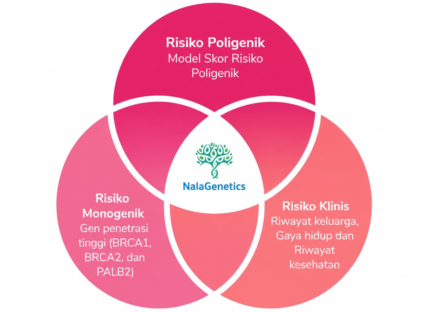 MammoReady Venn Diagram.jpg